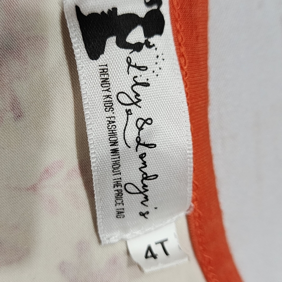 🌺3/$20 Lily & Londyn's dress chipmunk nuts flowers cream orange fall 4T - Picture 5 of 6
